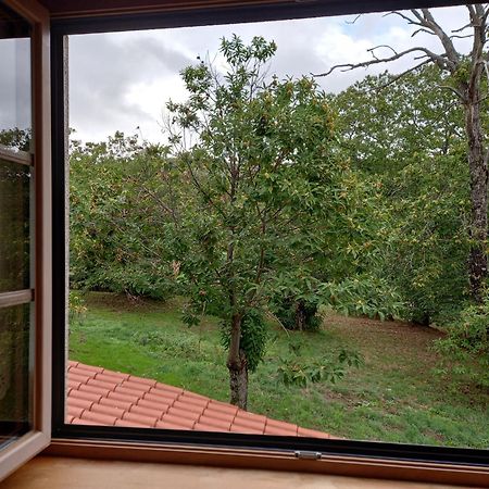 O Bilhó Vinhais Exterior foto
