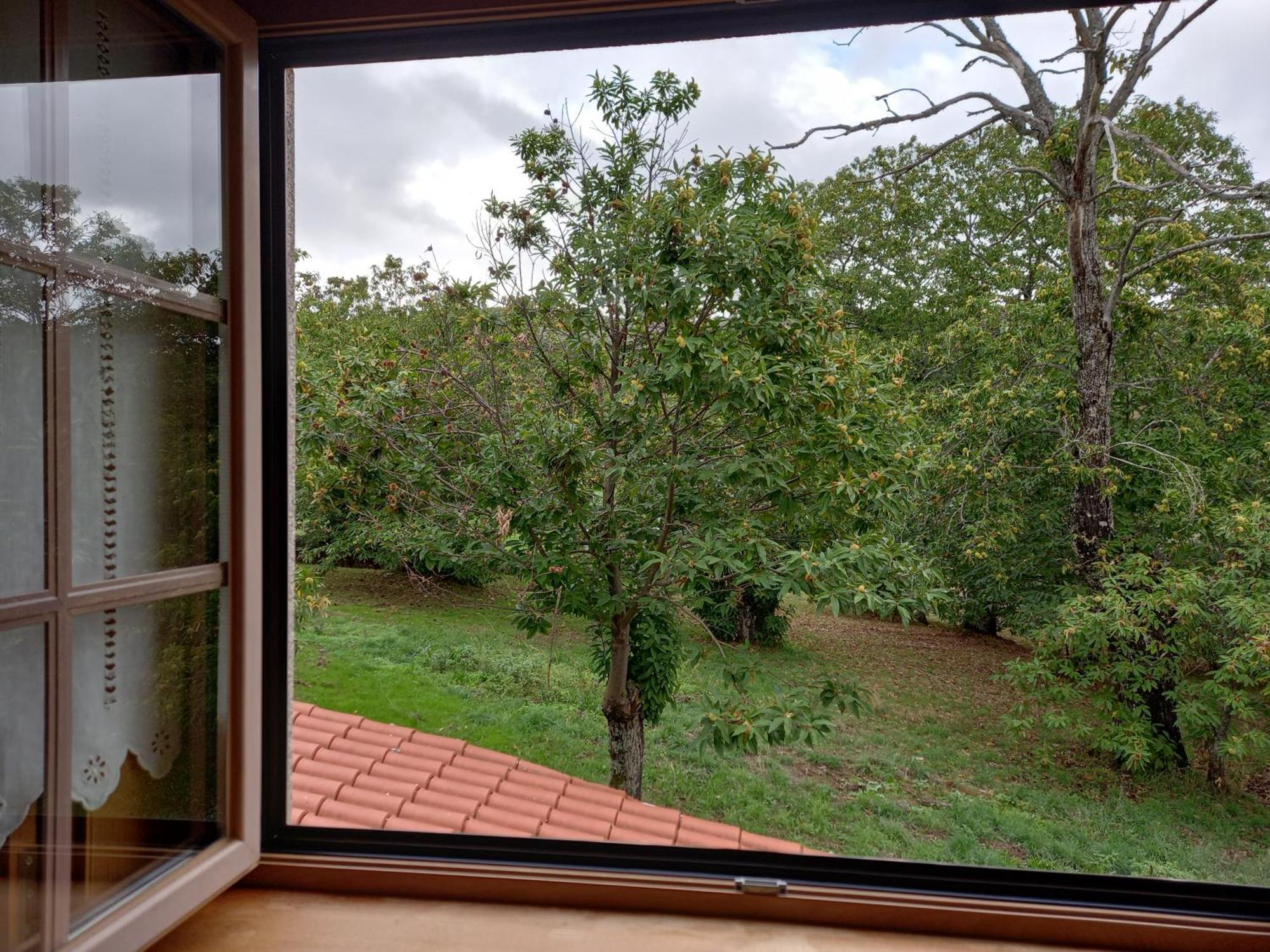 O Bilhó Vinhais Exterior foto